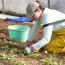 découvrez comment réussir votre reconversion vers le maraîchage et profitez d'une carrière enrichissante et durable. apprenez les techniques essentielles, les défis à relever et les opportunités à saisir dans ce secteur en pleine croissance.