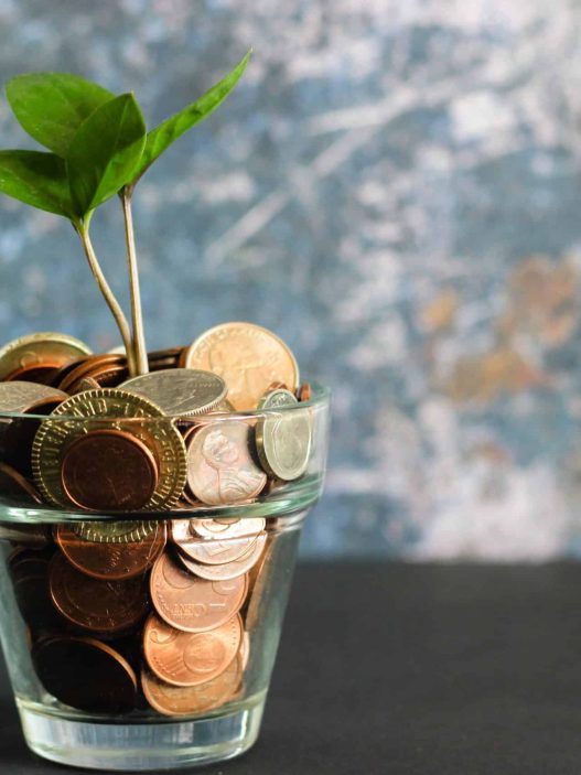 découvrez les avantages et les limites d'une mutuelle en assurance-vie pour mieux protéger vos proches et optimiser votre épargne.