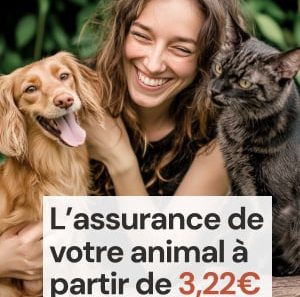 découvrez comment contester une hausse illégale de votre mutuelle santé en 2026 grâce à notre modèle de lettre de remboursement efficace.