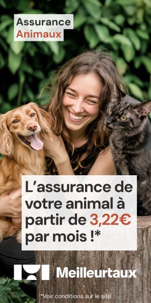 découvrez comment contester une hausse illégale de votre mutuelle santé en 2026 grâce à notre modèle de lettre de remboursement efficace.