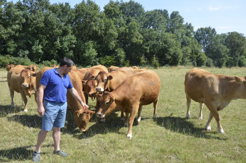 découvrez l'ag mutuelle bovine à pommerit-le-vicomte, votre partenaire de confiance pour la protection et la gestion de la santé de vos bovins dans la région.